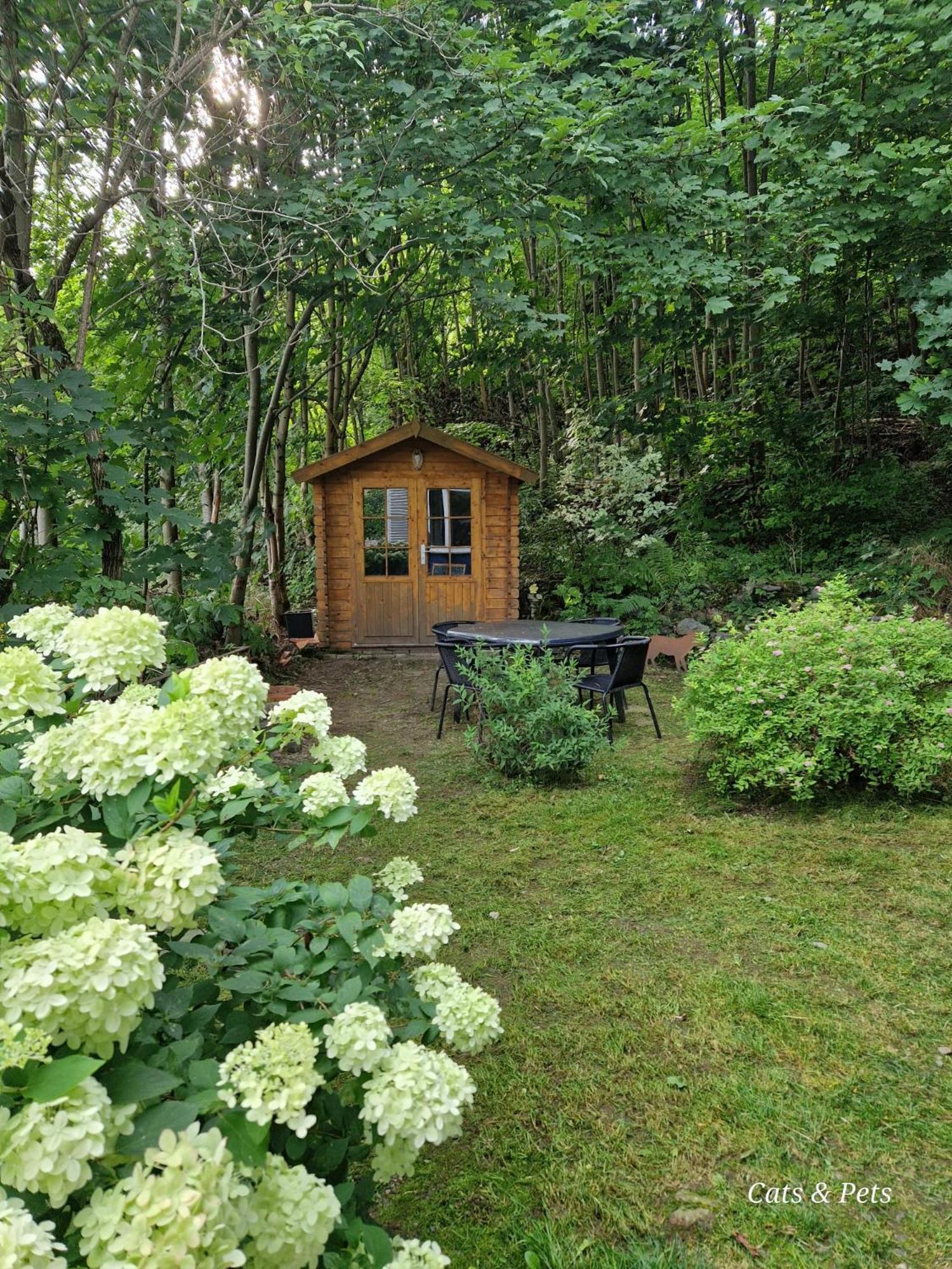 Platell Ferienhausverwaltung 상트안드레스베르크 외부 사진